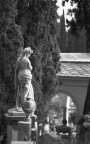 Roma - Il Verano Roma - Il Verano