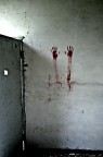 blood blood