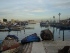 marina ad Algeri