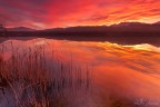 burning lake burning lake