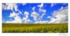 le nuvole sopra le nuvole sopra