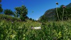 paesaggio con Monte Cervino paesaggio con Monte Cervino
