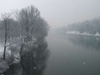 Sotto la neve al valentino ( To) 2 Sotto la neve al valentino ( To) 2