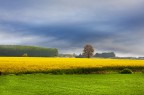 Impressioni d' Aprile Impressioni d' Aprile