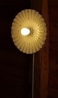 Un fiore sul soffitto Un fiore sul soffitto