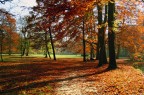Englischer Garten Englischer Garten
