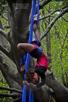 CIRCO PANIKO