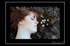 Dreaming... Dreaming...