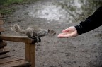 Hai qualcosa per me? Hai qualcosa per me?