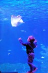 Nel blu Nel blu