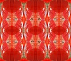 Rosso Piaggio Rosso Piaggio