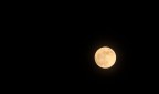 Luna Luna