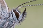 macro spinta altra prova macro spinta altra prova