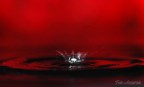 Tuffo nel rosso Tuffo nel rosso