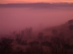 nebbia al tramonto nebbia al tramonto