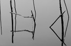 riflessi riflessi