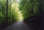 Sul grappa Sul grappa