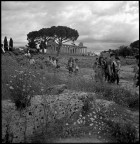 Paestum - sullo sfondo il tempio di Cerere
5 maggio 2012

Scansione da negativo Kodak Tmax 100
Hasselblad 503CX con Zeiss Sonnar 50 mm