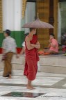 Shwedagon Pagoda Shwedagon Pagoda