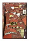Lucca dall'alto Lucca dall'alto