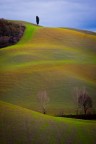 Paesaggio toscano
