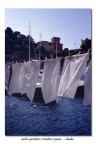 anche a portofino si stendono i panni... anche a portofino si stendono i panni...