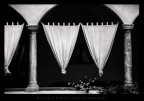 nell'antico chiostro