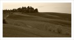 campagna senese campagna senese