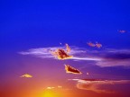 sky sky