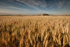 in Pianura Padana non c'è niente da fotografare in Pianura Padana non c'è niente da fotografare