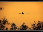 Camargue # 50 - fine serie Camargue # 50 - fine serie