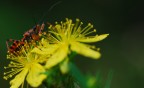 17_06_2012 17_06_2012