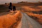 La strada La strada