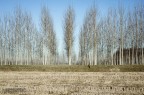 in Pianura Padana in Pianura Padana