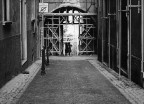 L'amore a L'aquila L'amore a L'aquila