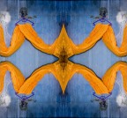 Tendaggi appesi � 2012