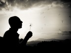 Make a wish Make a wish