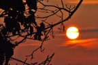 tramonto a rosate tramonto a rosate