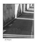 Life histogram Life histogram