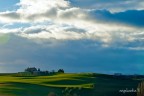 Hills Hills