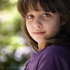 Ari Ari