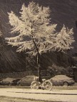 Nevicata a Firenze Nevicata a Firenze