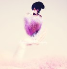 violet violet