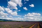 Plateau di Valensole Plateau di Valensole