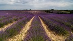 Plateau de Valensole Plateau de Valensole