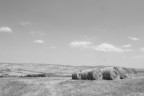 Meraviglie Toscane Meraviglie Toscane