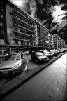 Il viale
