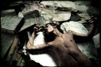 Fallen Angel Fallen Angel
