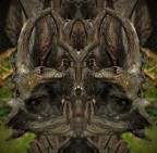 Demoni pareidolie� 2012