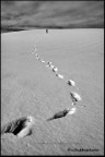tracks-for-the-infinite... tracks-for-the-infinite...
